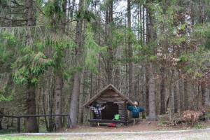 GOZDNA UČNA POT TROMEJNIK 6